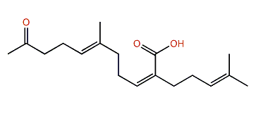 Isoketochabrolic acid